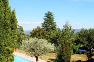 nature jardin lamazeraie